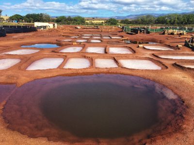 Brittany Lyte: The Imperiled Legacy Of The Hanapepe Salt Flats