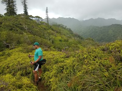 DLNR: Yes We Do Provide Adequate Hiking Trail Information