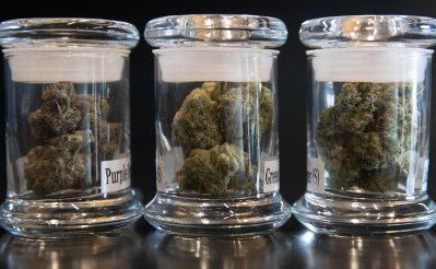 Over The Age Of 65? This Bill Would Qualify You For Medical Pot