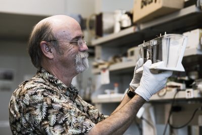 UH Scientist Reports Promising Development In Alzheimer’s Research