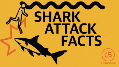 Shark Attack Facts