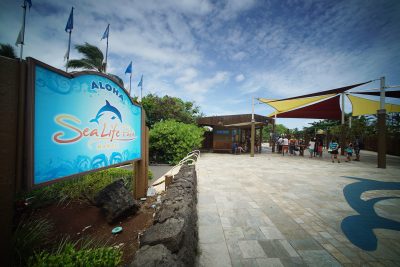 Death, Fines, And Captive Animals: Is Sea Life Park Part Of A Bygone Era?