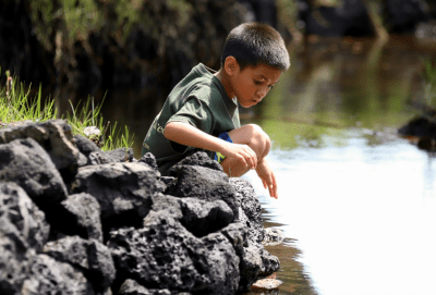 Be The Changemaker In Hawaii Education