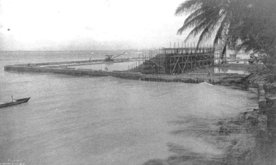 Kirstin Downey: Food Shortages In Hawaiʻi? A Lesson From World War I