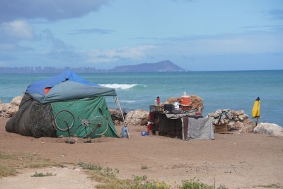 The Only Way To Save This Popular Oahu Park May Be To Close It At Night