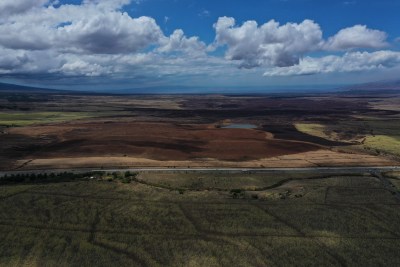 Maui Voters Will Decide On New Ag Dept, Managing Director And More