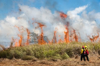 Hawaii Wildfire Defense Plans Gain Federal Funds