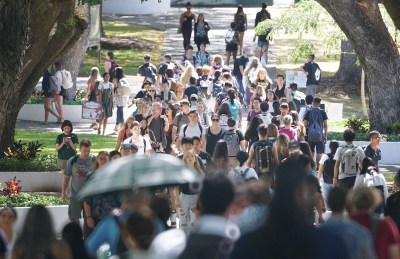 UH Releases Pay Levels For Hundreds Of Graduate Assistants, Lecturers