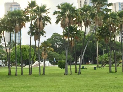 Funders Abandon Ala Moana Playground Plans, Pivot To Kakaako