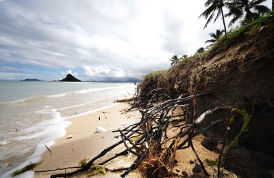 Here’s Why Fossil Fuel Companies Should Pay For Climate Change Costs