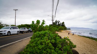 Realignment Of Highway At Laniakea Could Be In The Works