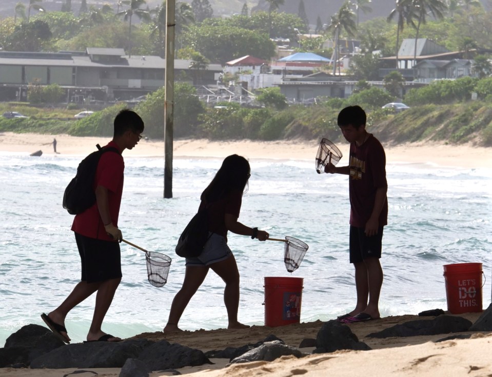 Youth volunteers collect trash from the beach around the Waimanalo Pier as part of a volunteer group with 808 Cleanups in Waimanalo, HI, on Saturday, March 8, 2020.  The 808 Cleanups non-porfit group organizes weekly cleanups from mauka to makai all over Oahu.  (Ronen Zilberman photo Civil Beat)