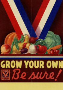 Victory (Lanakila) Gardens: A Way To Thrive During A Crisis