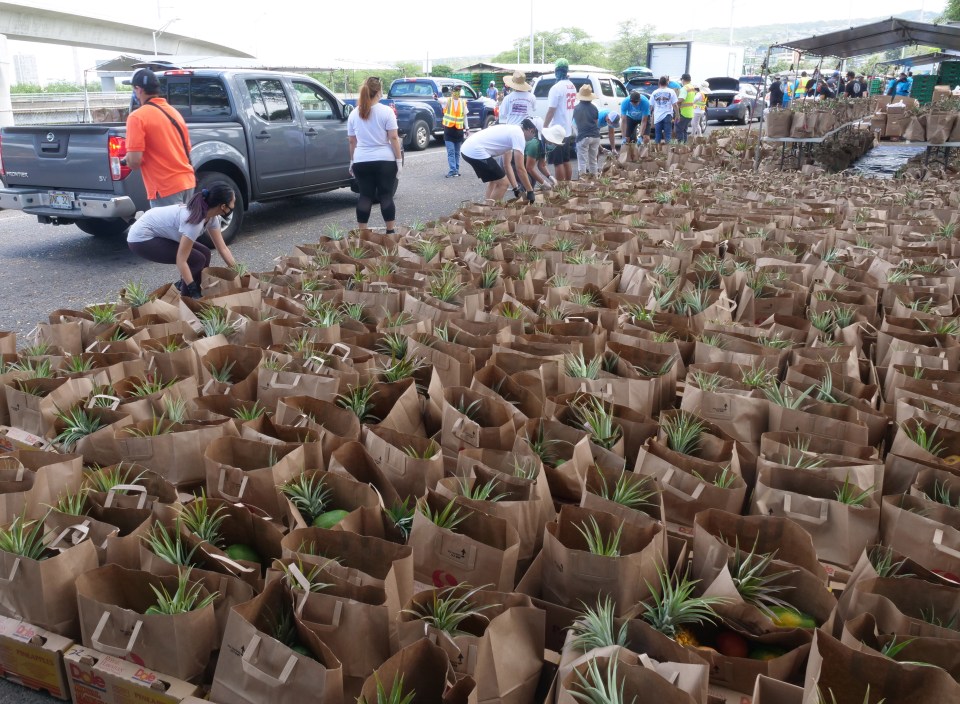 Numerous food distribution efforts are being made possible by philanthropic efforts and donations from wealthy funders and foundations.