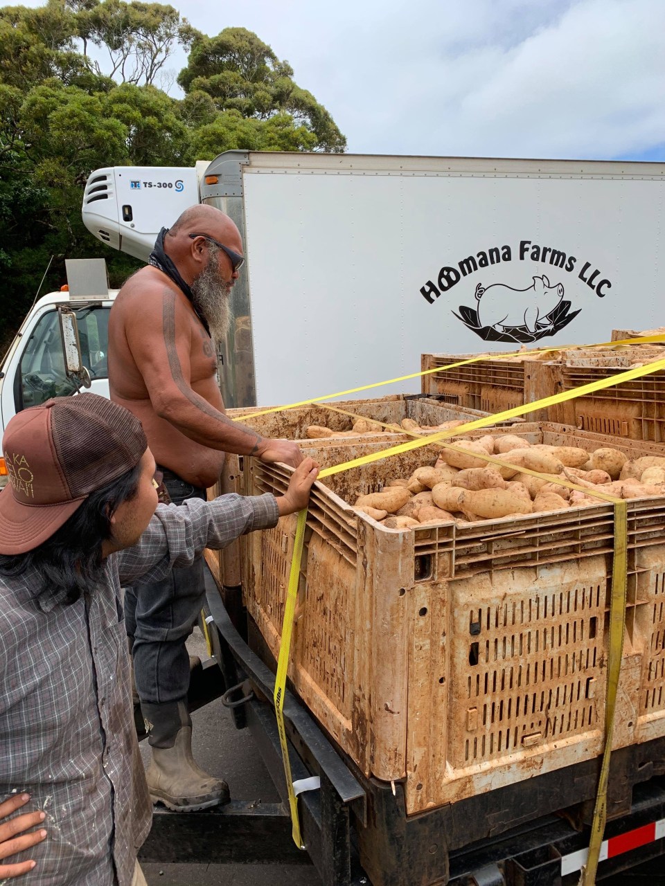 Maui Best Incorporation and Ho’omana Farms LLC sponsored the Ho’omana project where twelve tons of sweet potato was distributed to the public. Below is a link of photos and videos taken by Senator J. Kalani English throughout the distribu