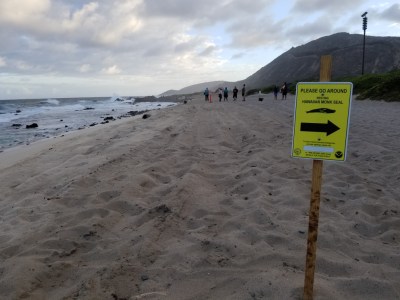 Off-Roaders Could Soon Be Blocked From This East Honolulu Beach