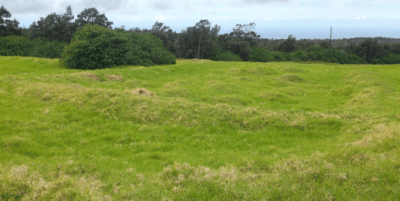 How Landscape Legacies Enhance Hawaii Agriculture