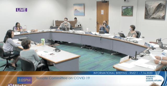 Kishimoto, Sarah Park, DOE, DOH, Senate Covid committee, Legislature
