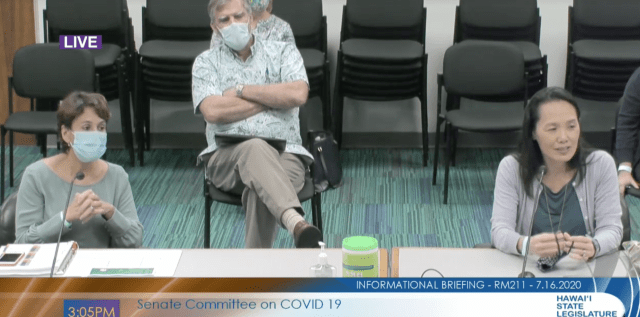 Kishimoto, Sarah Park, DOE, DOH, Senate Covid committee, Legislature