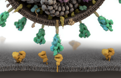 Can The World’s Most Powerful Computers Stop The Coronavirus?