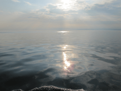 Gratitude, Nature And Our COVID Response