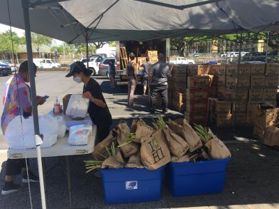 Harnessing The Power Of Mutual Aid Through Coronacare Hawaii