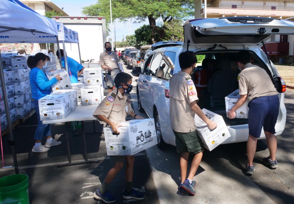 Boy Scouts of America troop 201 out of Nu'uanu Congregational Church (left to right) Nelson Wong, Nate Wong, Ian Tawata, and Andrew Yee volunteer to help load food boxes into cars during a food drive at the Farrington High School, in Kalihi, HI, Sunday, Sept. 13, 2020. The drive was organziced by Advantage Insurance Services, Inc. and Aloha Harvest in an effort to ensure Hawaii residents don't go hungry during the continued shut-downs of businesses on Oahu. (Ronen Zilberman photo Civil Beat)