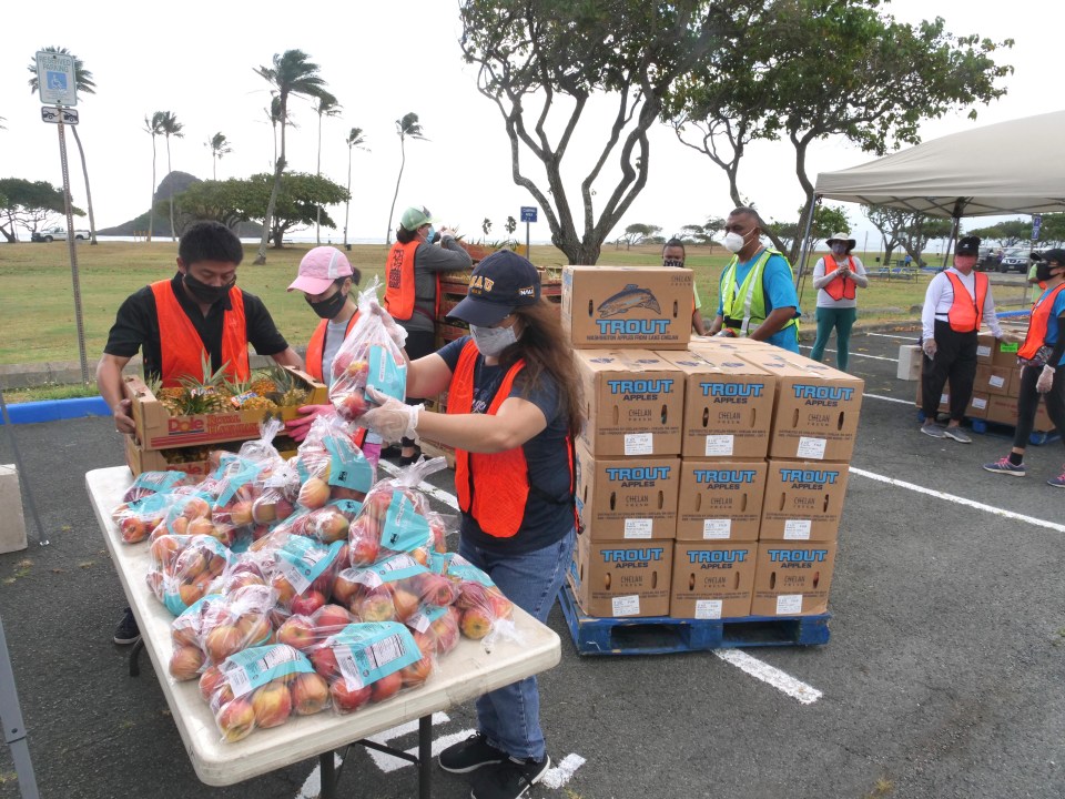 Volunteers sort through produce to create food boxes for a free distribution event by the Hawai'i Foodbank at the Kualoa Park on the Windward side of Oahu, Wednesday, Sept. 23, 2020. (Ronen Zilberman photo Civil Beat)