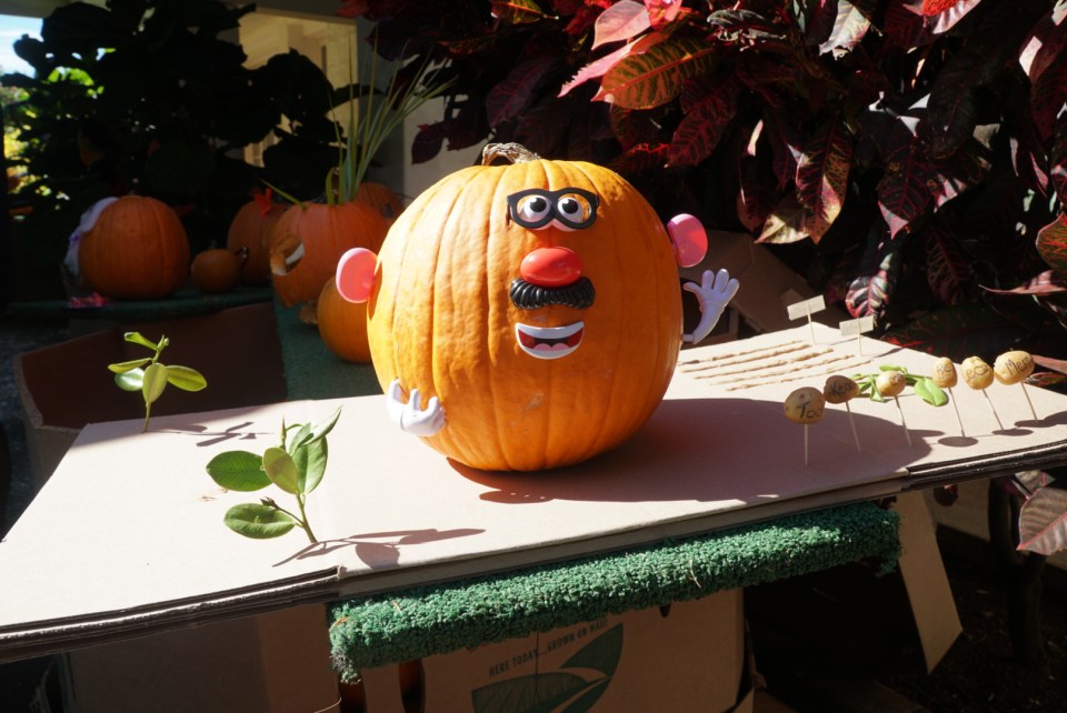 Net proceeds from all pumpkin sales will benefit Imua Family Services and its community-based
program that serves Maui County families by providing resources that assist keiki with
overcoming developmental learning challenges.