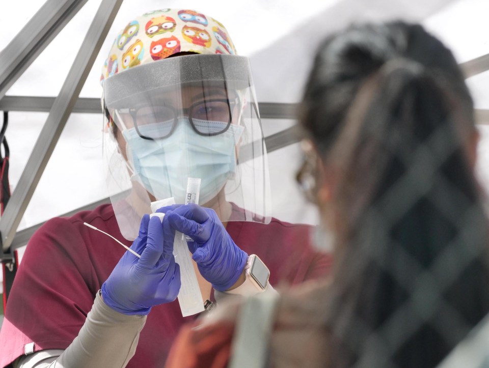 A medical technician demonstrates how to administer a COVID-19 test during a free testing clinic at the Waikiki Shell, in Honolulu, HI, Wednesday, November 11, 2020. (Ronen Zilberman photo Civil Beat)