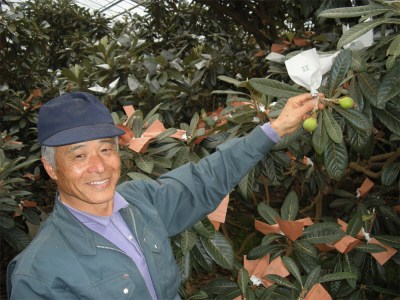 Hawaii Can Learn A Lot From Japan About Farming And Food Production