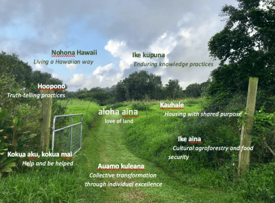 7 Principles To Transform Housing In Hawaii