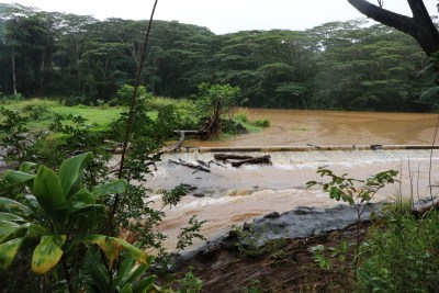 Relics Of Sugar’s Past, Hawaii Dams Will Take Years To Fix Or Remove