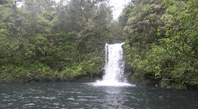 Why Reform Of Hawaii’s Water Policy May Now Be Necessary