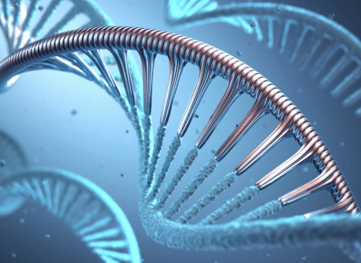 What Is mRNA? Here’s A Crash Course On What It Does