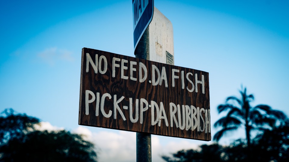Homemade signs made by community members remind beachgoers at Pokai Bay Beach Park to mind their trash.