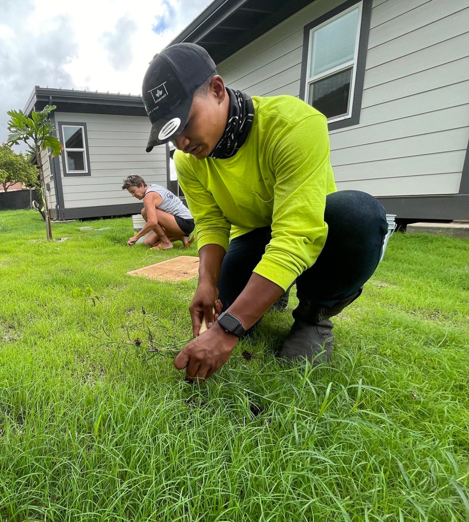 Gregory Cantero (right) and Judy Plumer (left) volunteer with HomeAid Hawai'i to pull weeds from the newly landscaped lawn of Kama'oku neighborhood in Kapolei, Friday, July 16, 2021. Homeaid Hawai'i is a non-profit organization that donates professional building services and materials to projects that help to alleivate homelessness in Hawai'i. (Ronen Zilberman photo Civil Beat)