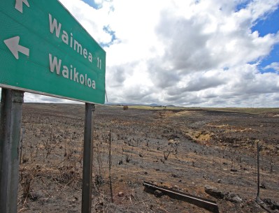 As Climate Change Fuels Fires, A Big Island Community Has Only One Way Out