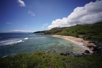 Mahina Poepoe, House District 13: Natural Evolution Of An Activist Into Governance