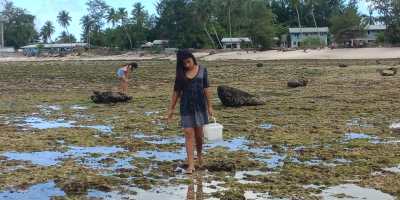 Seaweed: A Healthy Boost To Pacific Island Economies?