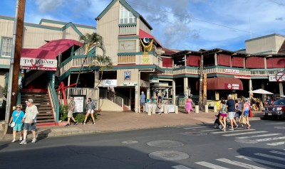 Denby Fawcett: Show Respect For Lahaina By Restoring Its Once Lush Wetlands