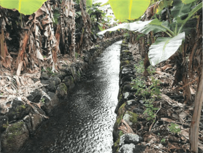 Hawaii’s Water Irrigation Systems Are Priority Infrastructure