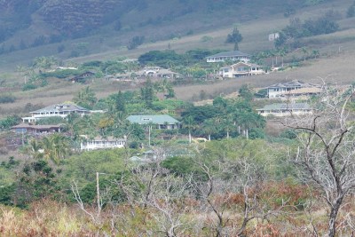Homes near Maunaolu Street / Maiola Street.