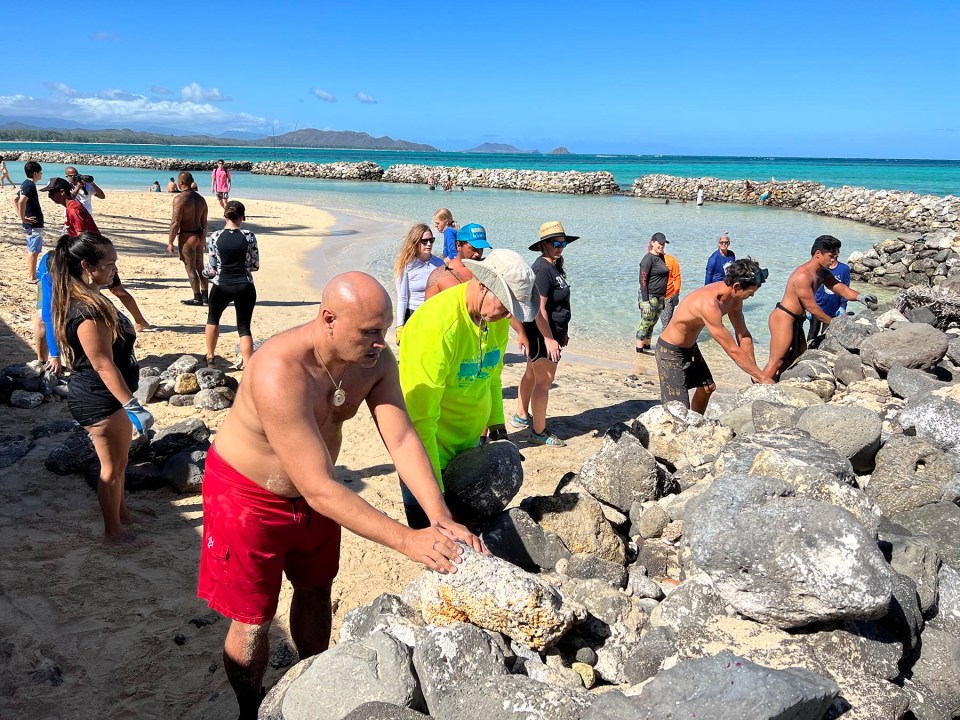 Volunteers help rebuild and restore rock walls of the Pahonu (turtle pond) in Waimanalo Bay during the Limu Hui and Volunteer Leadership Training Retreat on Sunday, November 21, 2021. The Limu Hui has been working to restore the wall since 2018 and hosts monthly opportunities for community members to come and help. (Ronen Zilberman photo Civil Beat)