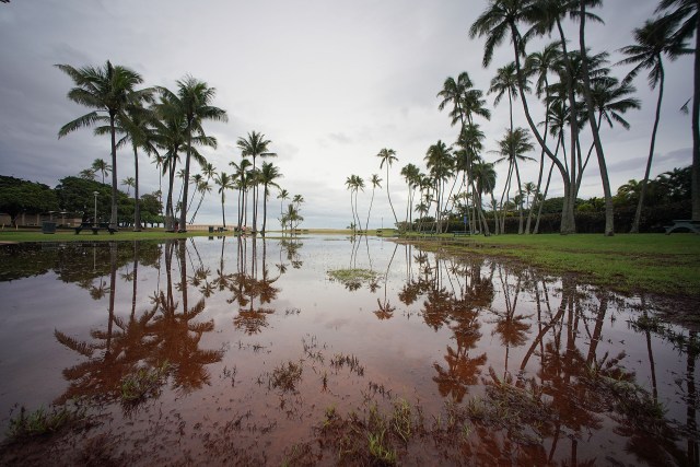 Waialae Beach Park with flooded grass field after heavy rains yesterday.