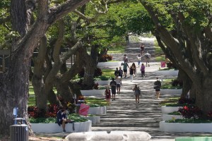 University of Hawaii at Manoa campus.