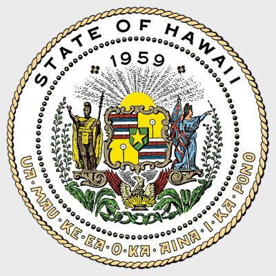 Hawaii Should Curb ‘Grab And Go’ Mentality In Child Welfare Services