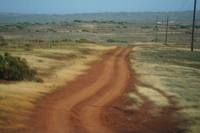 Hawaii’s Extreme Drought Is Forcing Ranchers And Farmers To Get Creative