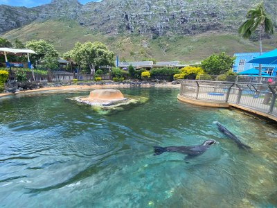 Sea Life Park Facelift Moves Ahead
