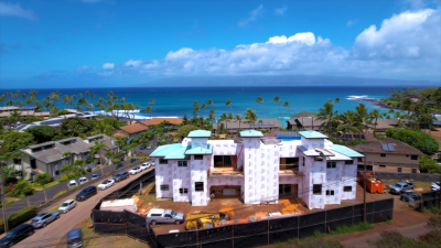 Resolution To Acquire Maui Monster House Passes Committee